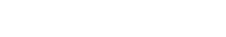 Illustration & Type 